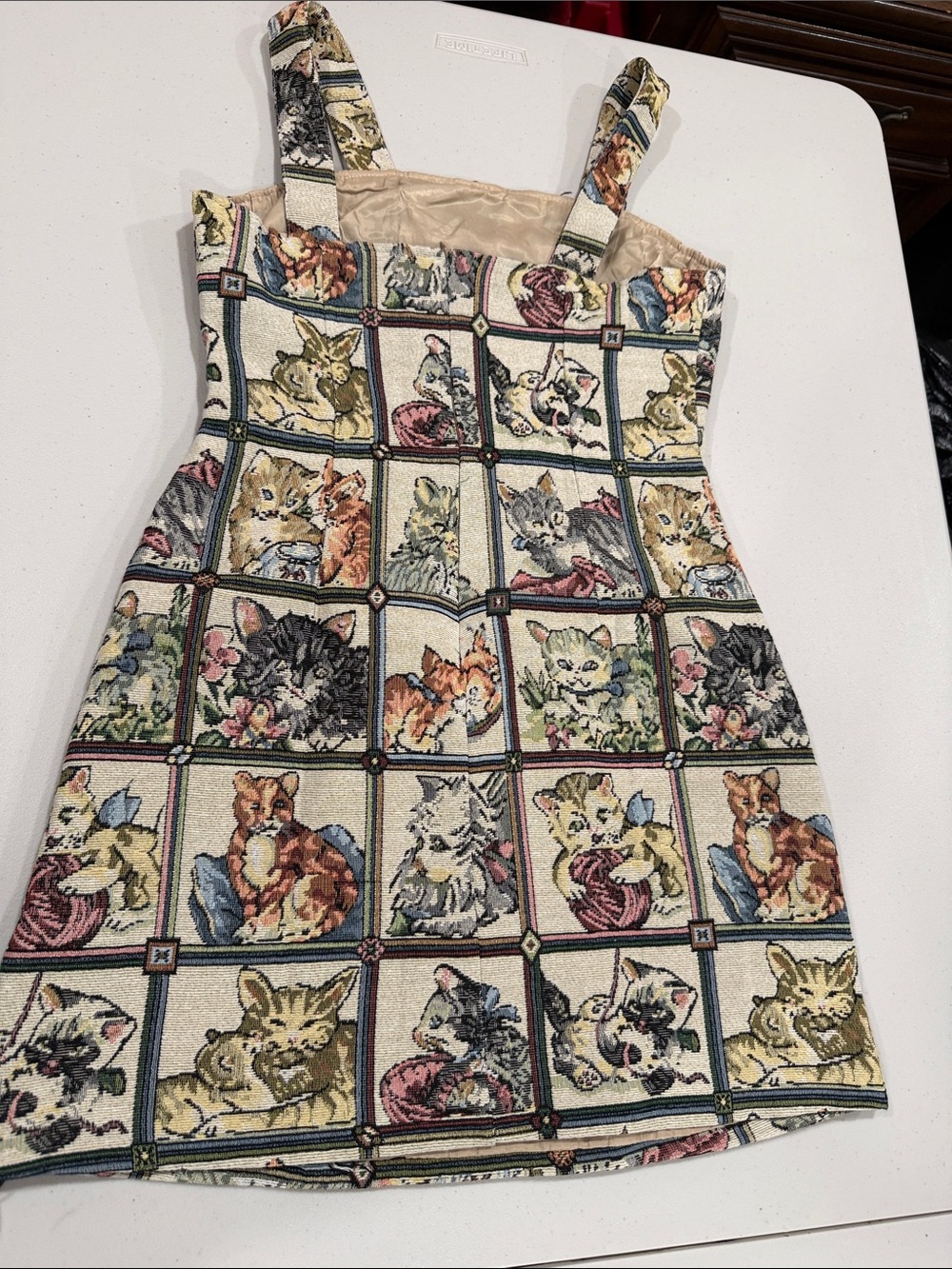 Cider Cream Multi-Color Kitten Tapestry Sundress
